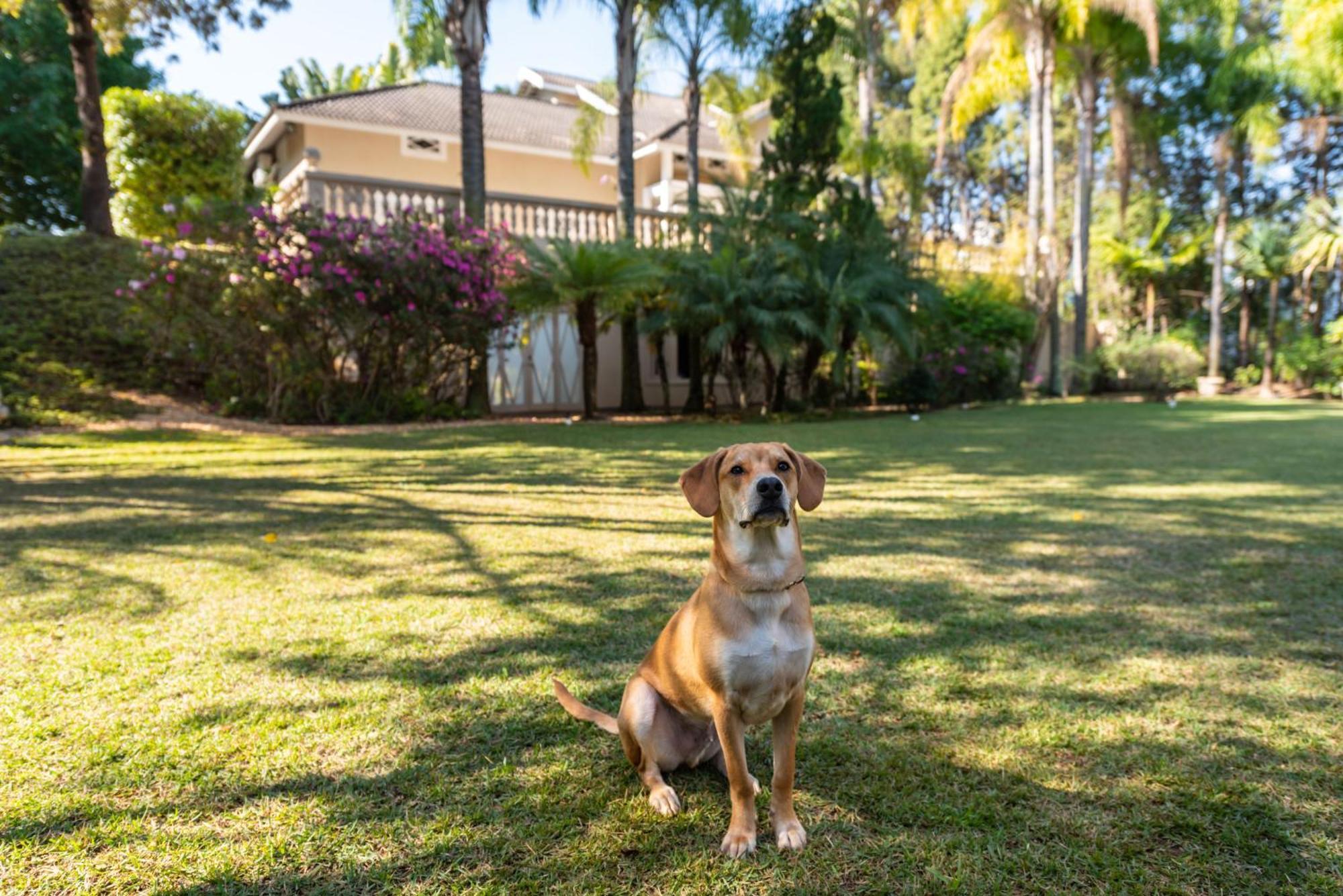 Fazenda Vila Real - Grande E Charmosa Casa De Campo Itu Exteriér fotografie