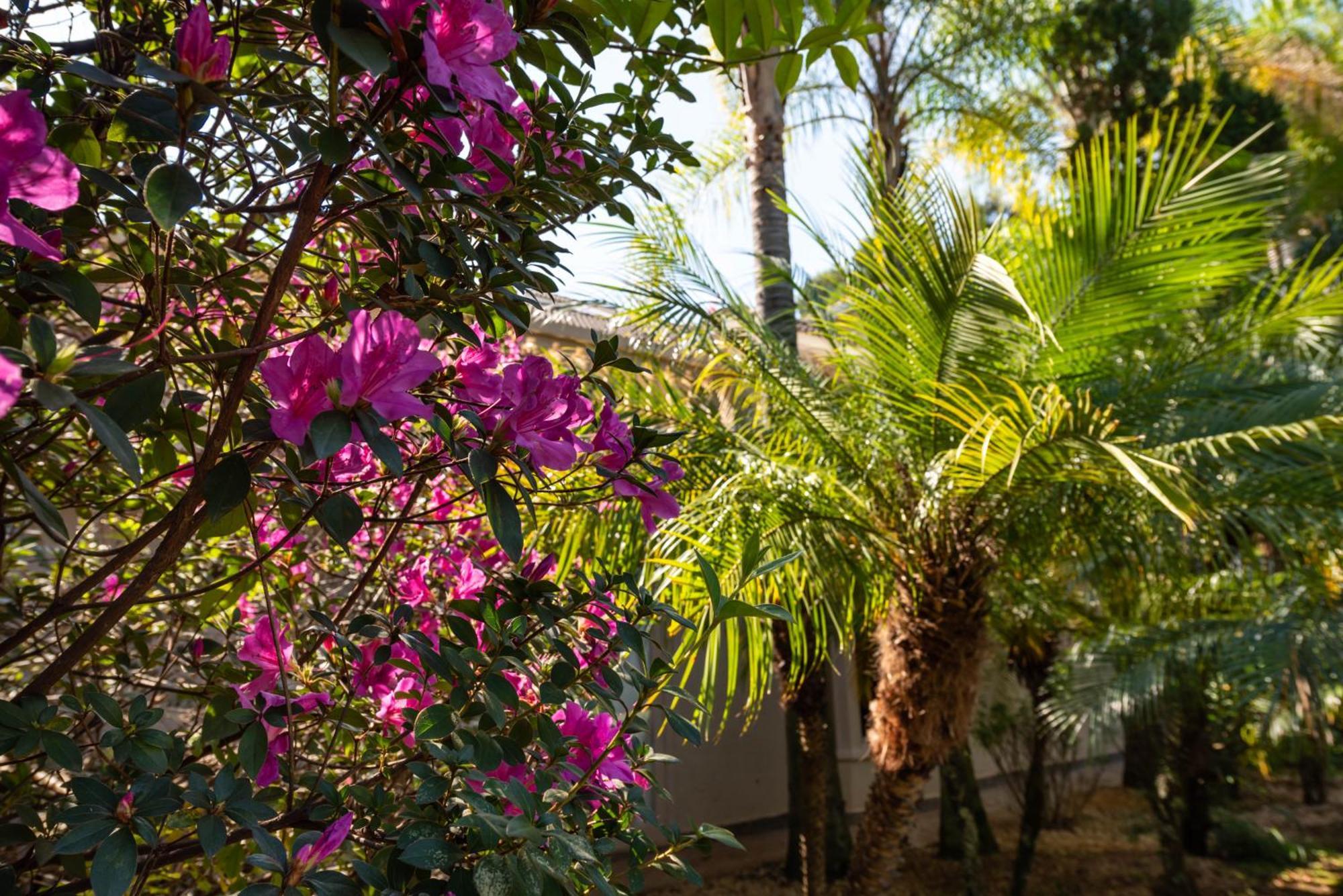Fazenda Vila Real - Grande E Charmosa Casa De Campo Itu Exteriér fotografie