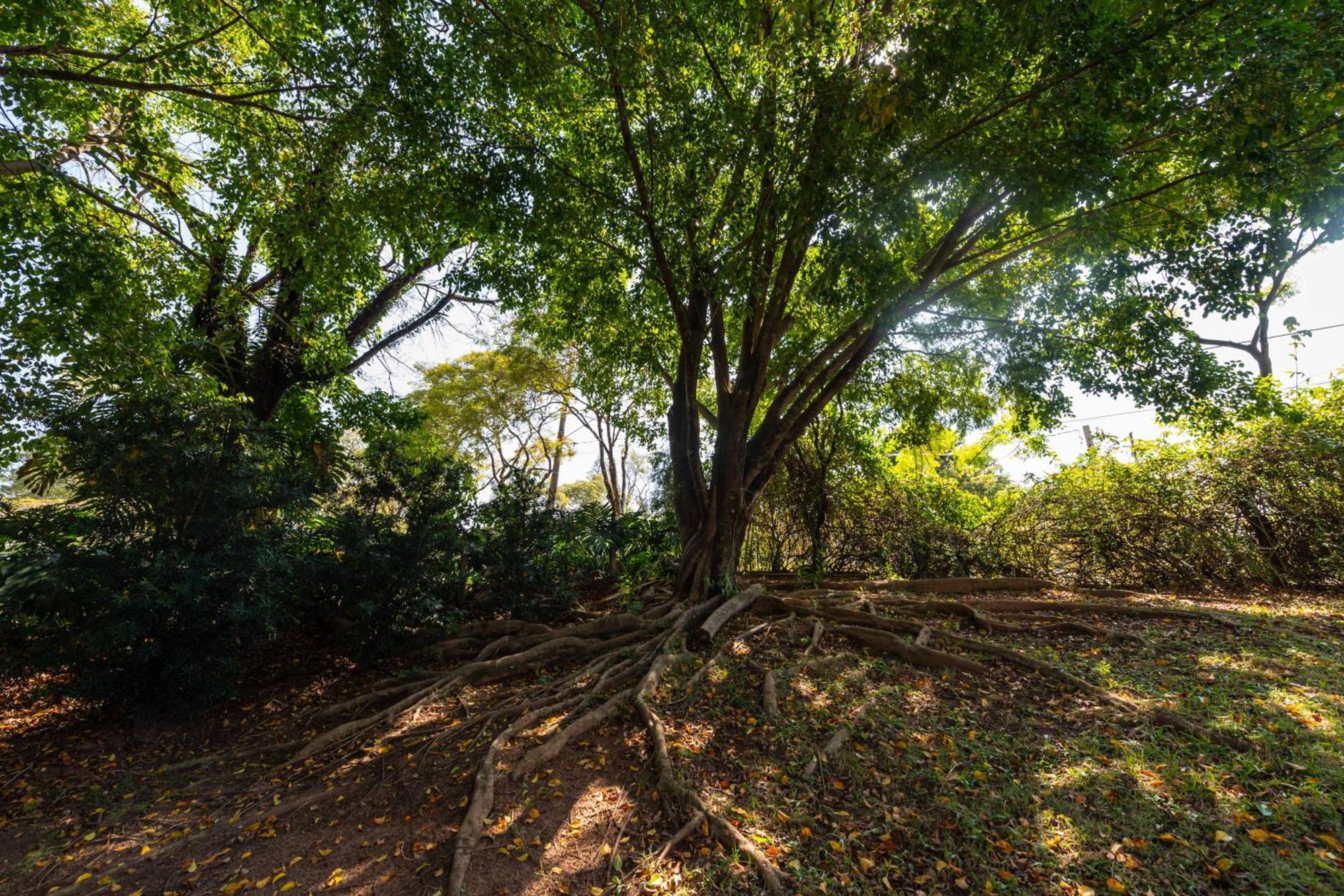 Fazenda Vila Real - Grande E Charmosa Casa De Campo Itu Exteriér fotografie